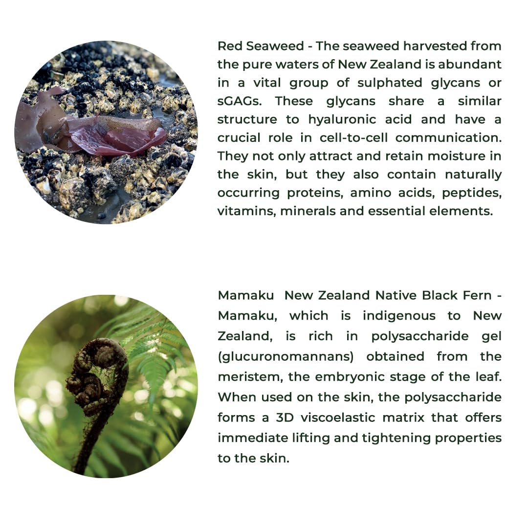 Red Seaweed + Mamaku Hydration Cream | Natural Face Cream for Glowing Skin