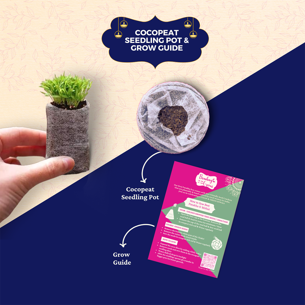 Bombay Greens 3 in 1 Treats Hamper