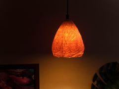 Weaver's Eyrie Pendant Lamp | Designer Hanging Light