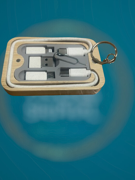 Bamboo Travel Charger Kit