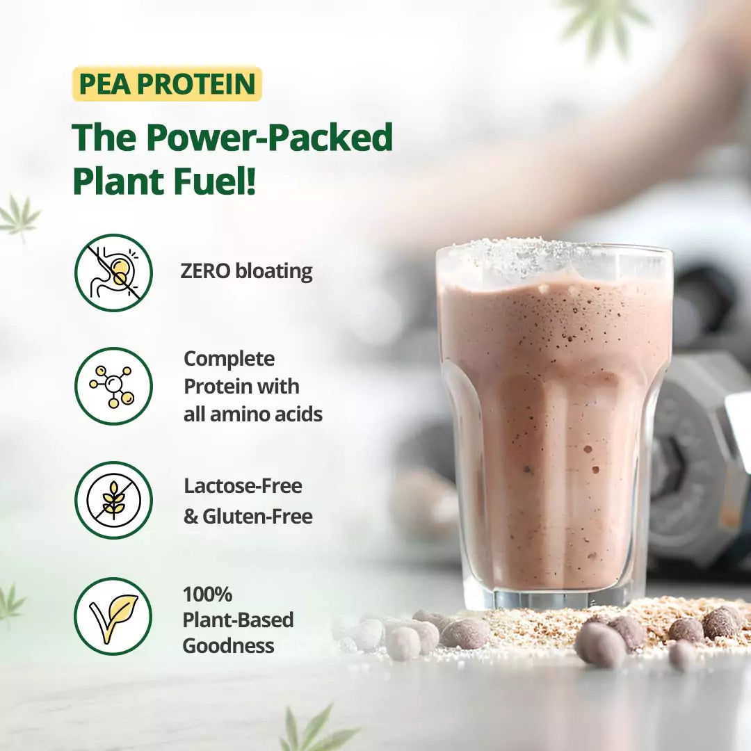 Hemp Protein Powder - Chocolate Flavour