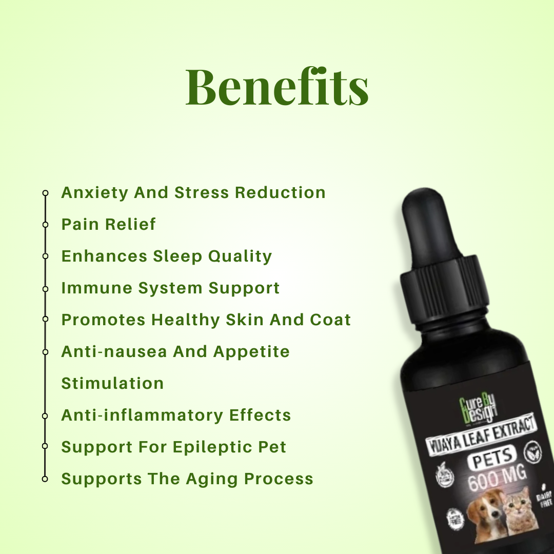 CBD oil for dogs .png