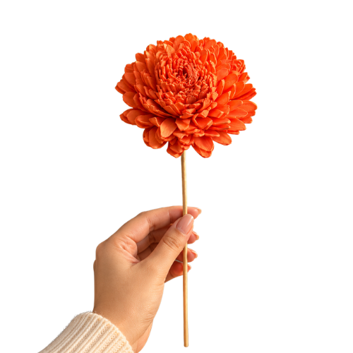 Soleil d’Orange – Orange Sola Wood Flower Stem