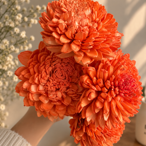 Soleil d’Orange – Orange Sola Wood Flower Stem