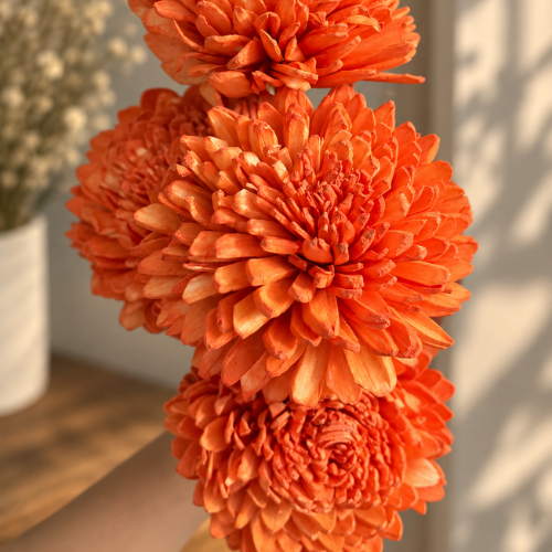 Soleil d’Orange – Orange Sola Wood Flower Stem