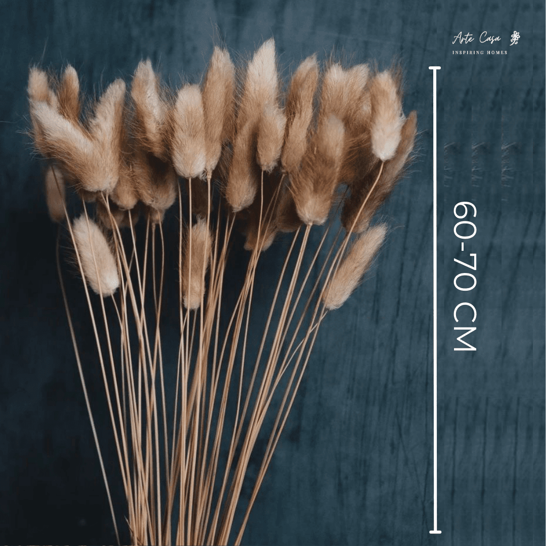 Imported bunny tails-set of 30 stems - https://artecasa.in/