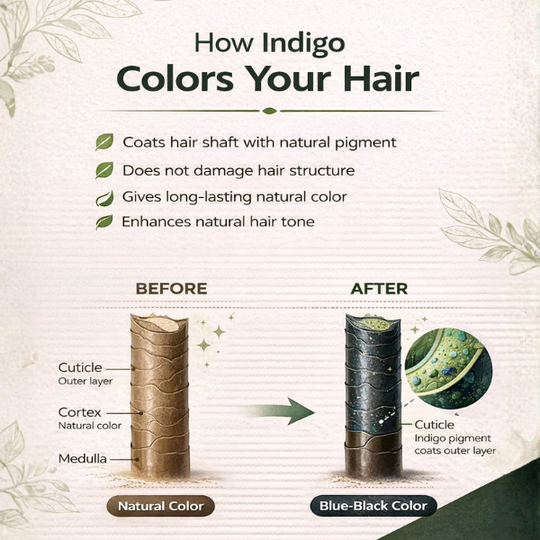 Pure Nutrition Natural Organic Indigo Powder for Hair | Herbal Hair Color Powder for Black & Dark Brown Shades