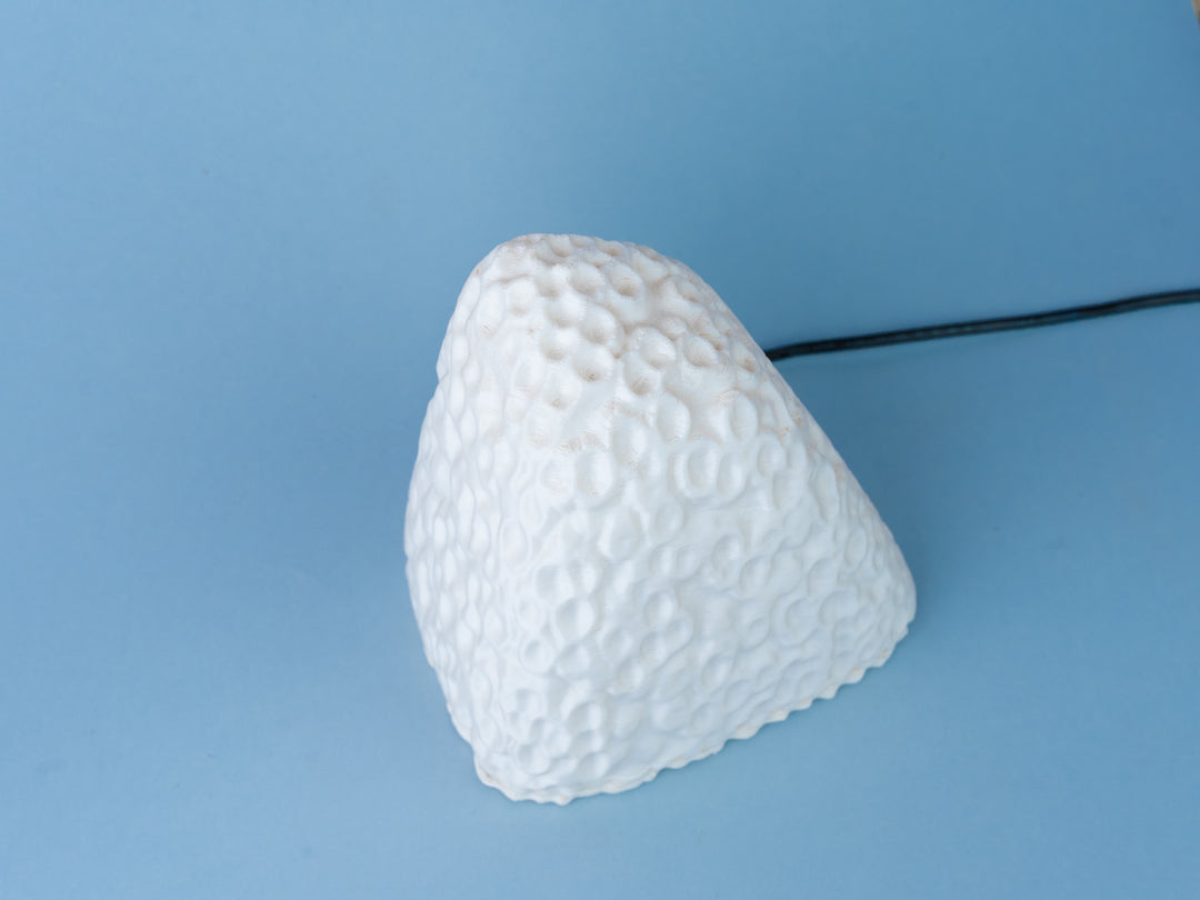 Coral Alive Table Lamp | Designer LED Table Light