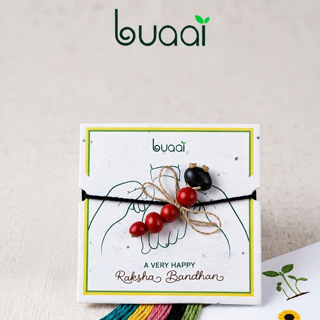 Dragonfly Plantable Rakhi Grow Kit