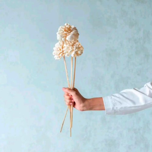 Pêche Ivoire – Peach and White Sola Flower Stem 10 flower