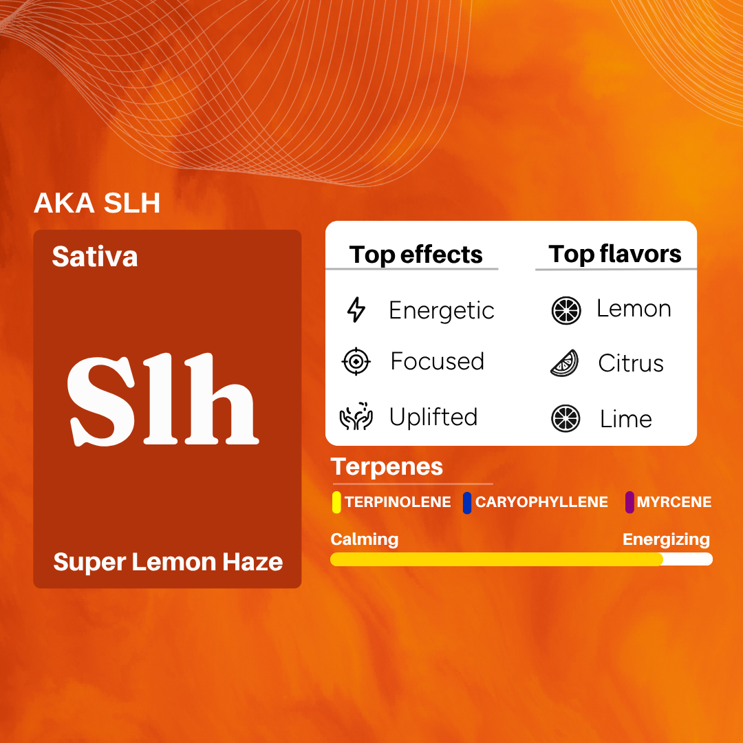 Uplift Plus: Strong Full-Spectrum Extract for Chronic Pain, De-Addiction and Insomnia