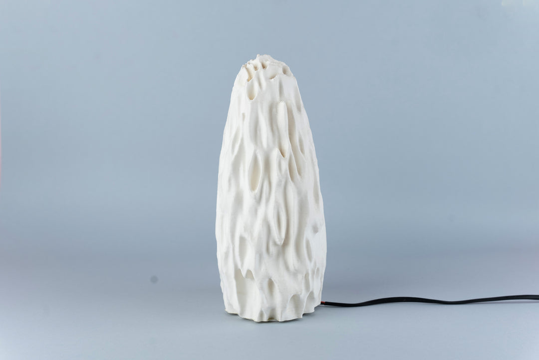 Untouched Coral Table Lamp | Designer LED Table Light