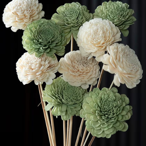Rosettes de Couleur – Multicolour Cabbage Sola Flowers