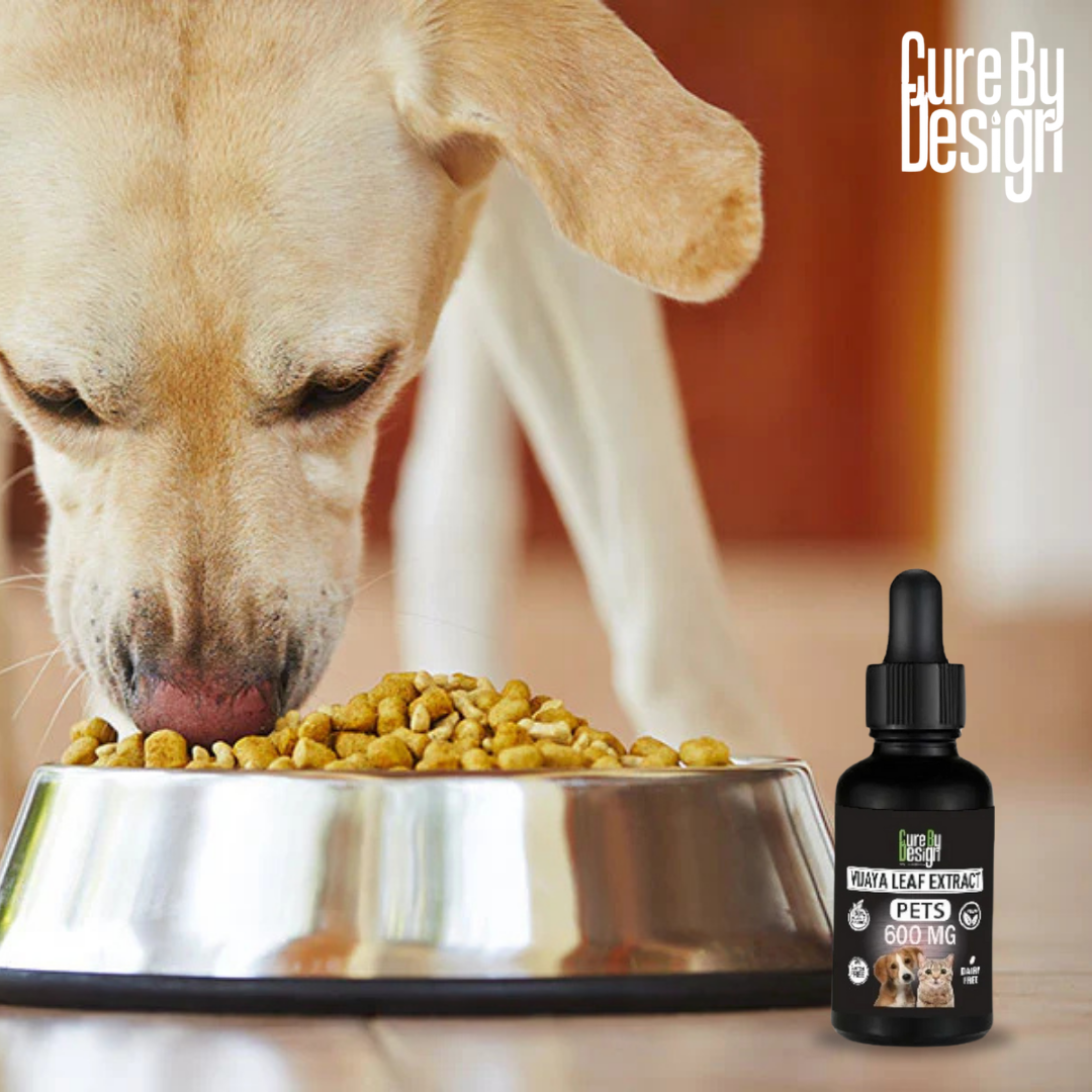 Pet Care CBD Product .png