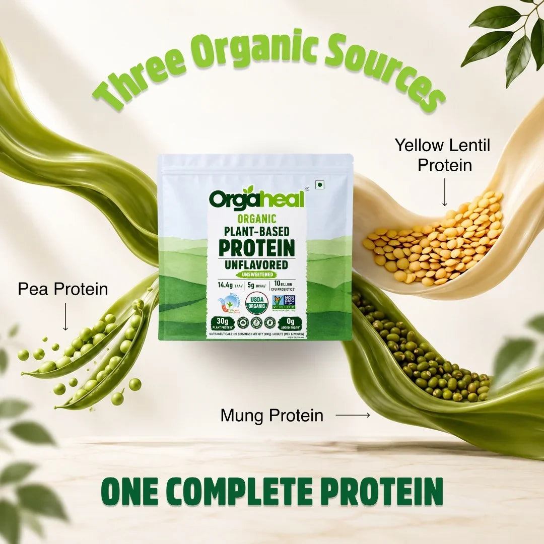 Organic Plant Based Protein Powder Unflavored
