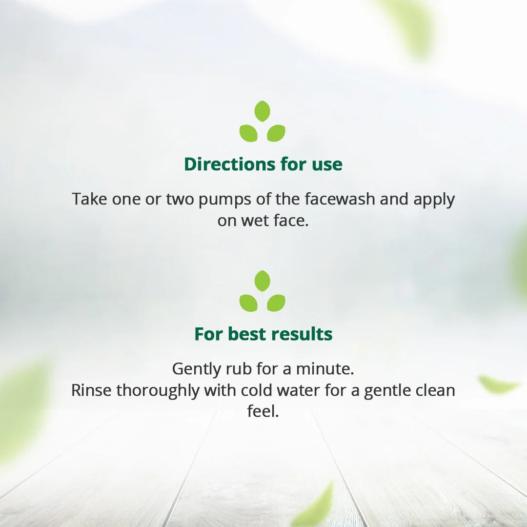 Herbal Face Wash - Clears Pores & Hydrates Skin