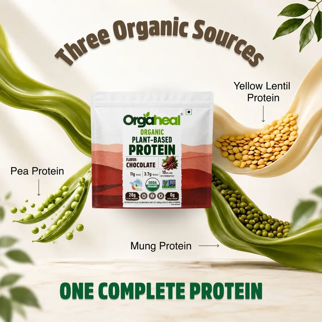 Organic Plant Based Protein Powder Chocolate