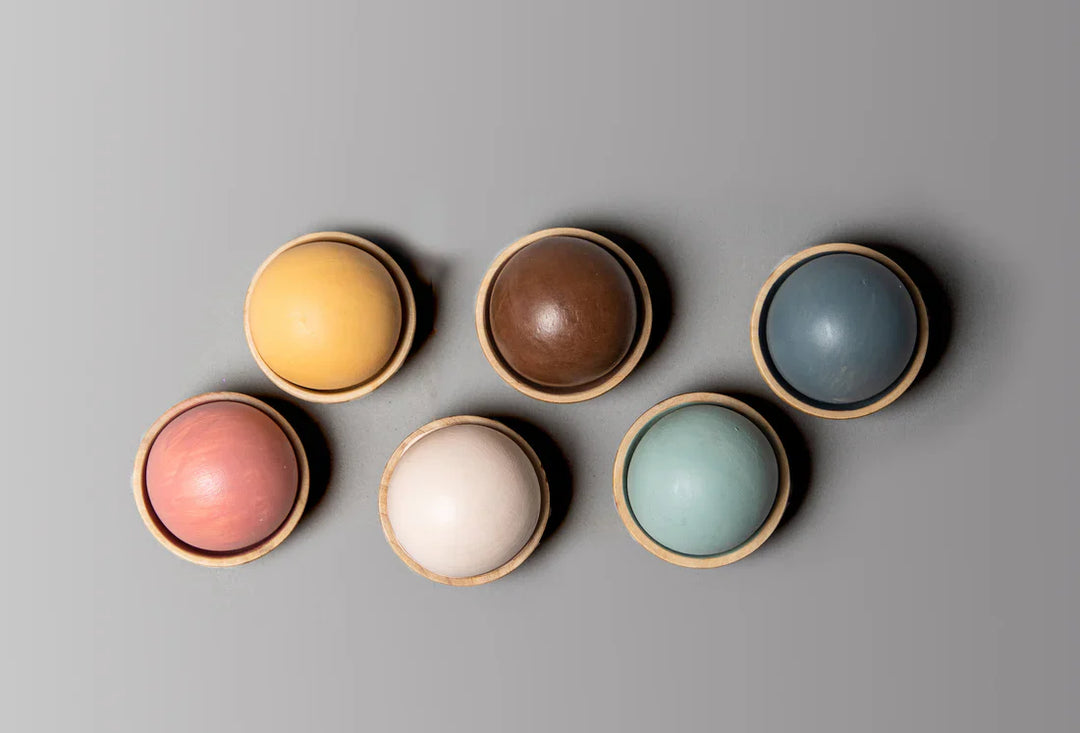 BIRCH & BUG Colour Sorting Set - Set of 12