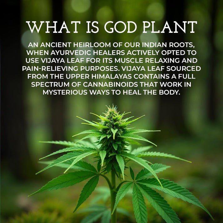 Kheoni Vijaya Leaf Roll On