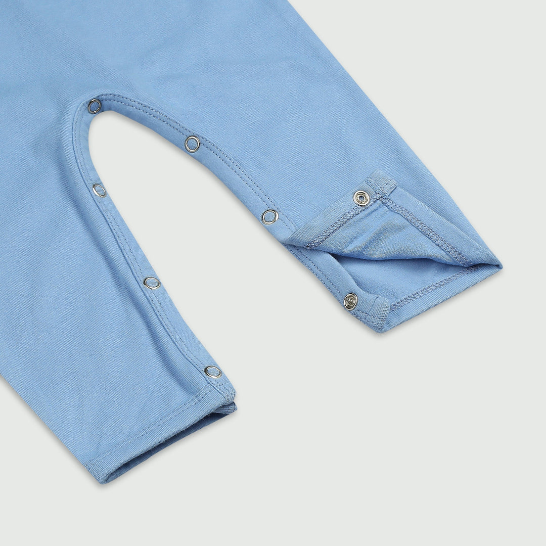 Ola! Otter Full Sleeved Rompers