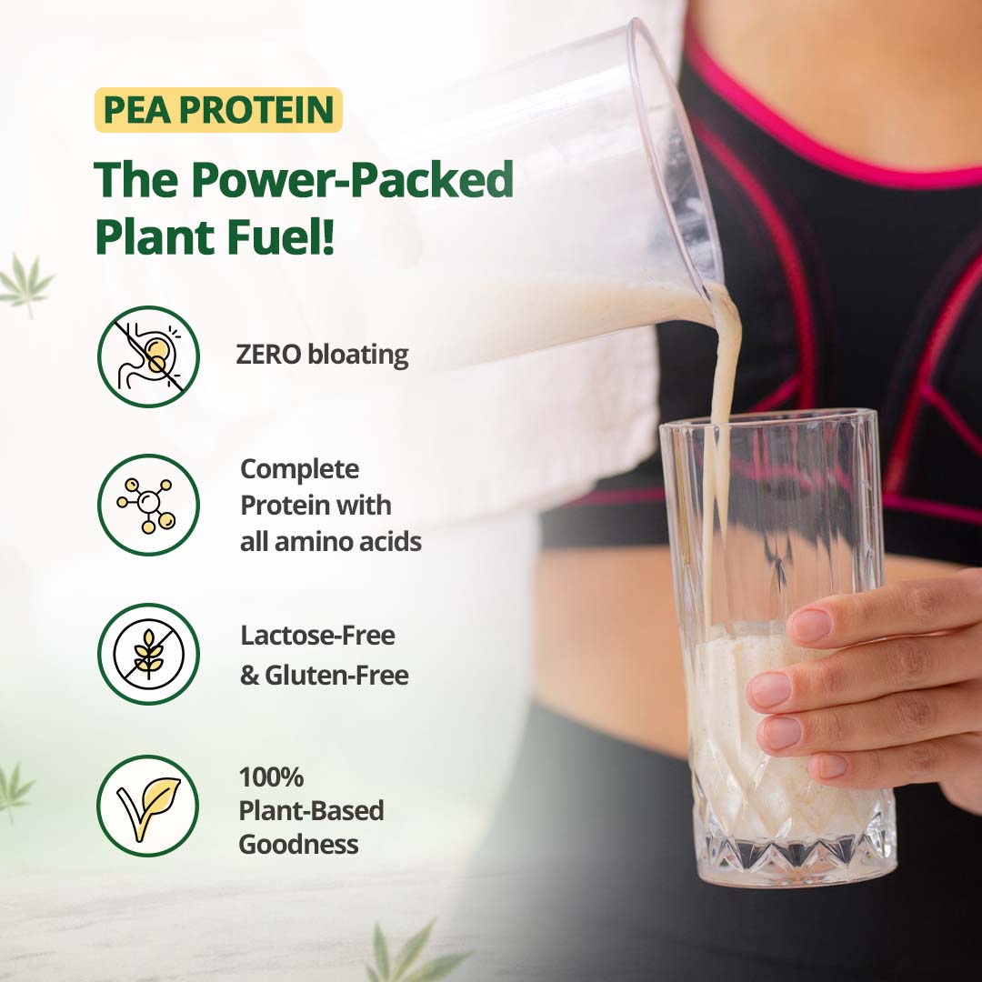Hampa Wellness Hemp Protein Powder - Vanilla Flavour