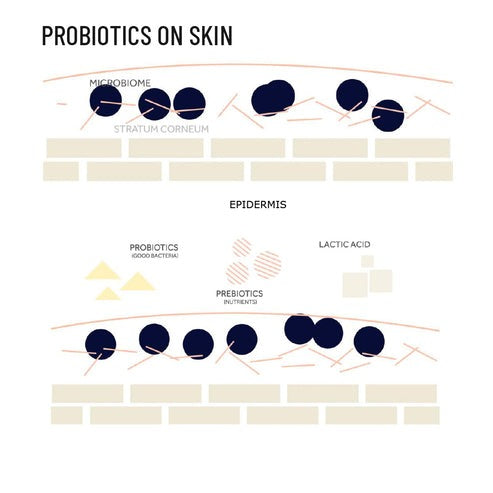 Kheoni Probiotic Active Conditioner | Natural Conditioner for Hair