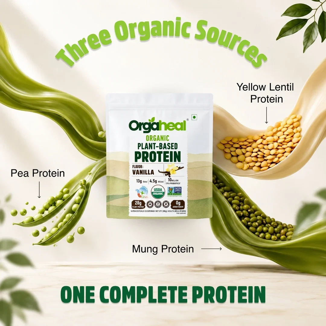 Organic Plant Based Protein Powder Vanilla