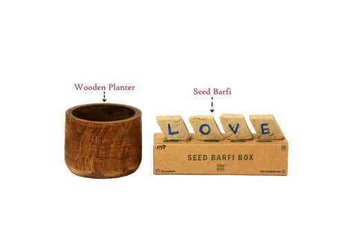 Scrapshala Akkad-Bakkad Grow Rakhi Box | Plantable Rakhis & Wooden Planter
