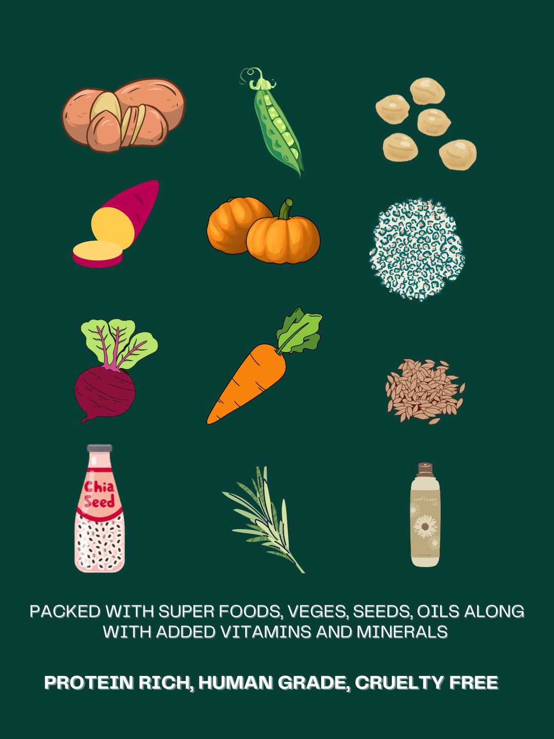 Paws For Greens 100% Vegan Dry Dog Food Adult - 1 kg