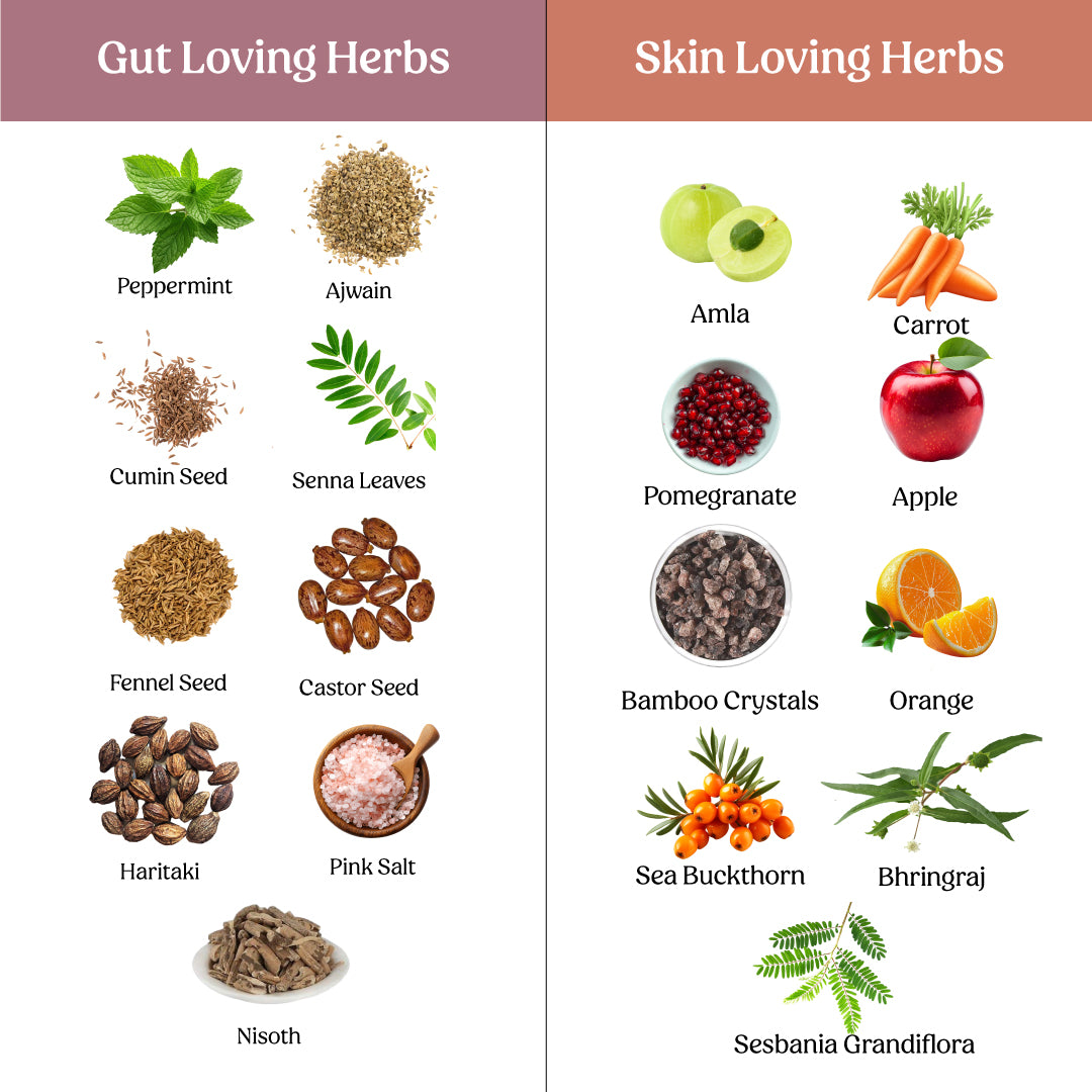 Glosense Glow and Gut Combo