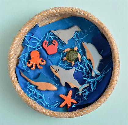 BIRCH & BUG Aquatic Set of 8