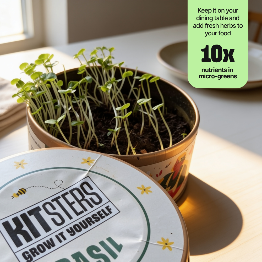 Grow in a Can - Cilantro