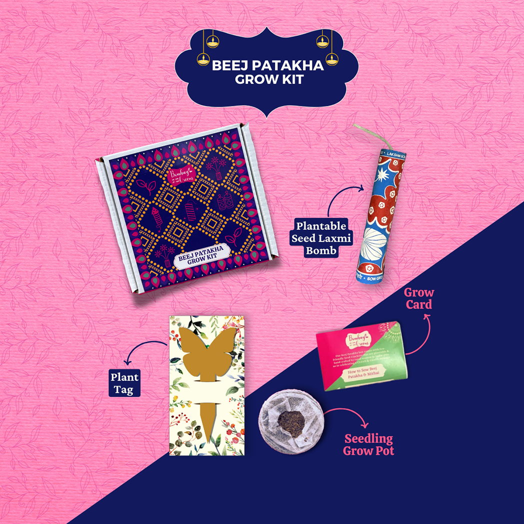 Bombay Greens Diwali Decor Hamper