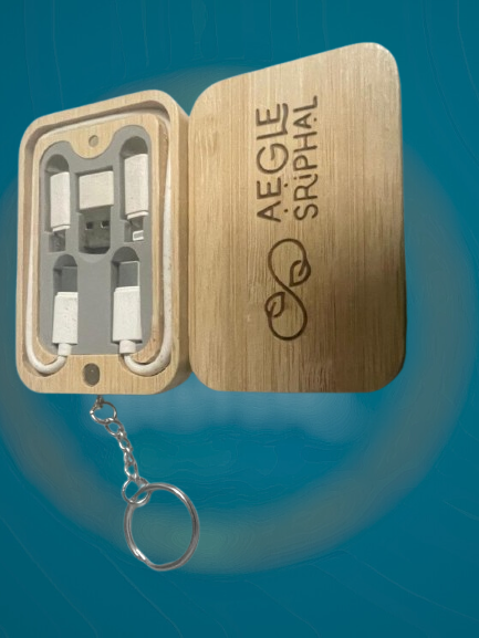 Bamboo Travel Charger Kit