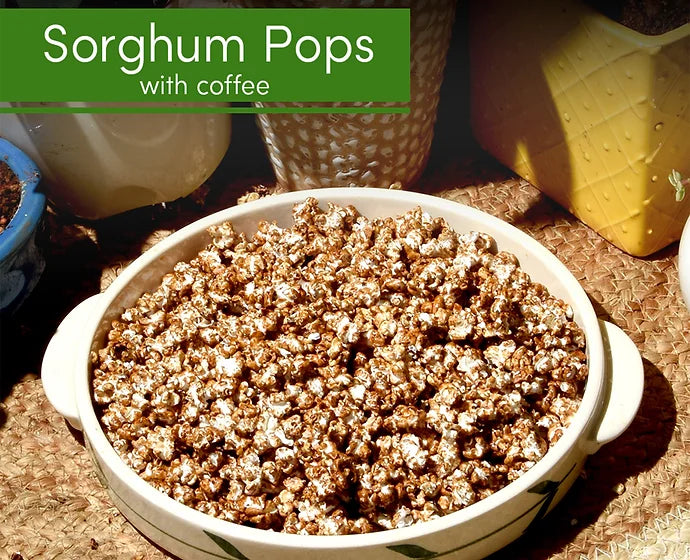 GUILTCHIP Jowar Pop - Coffee Jaggery  80 gm