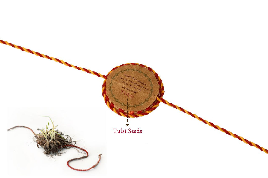 Scrapshala Surajmukhi Plantable Rakhi | Roli-Chawal Included