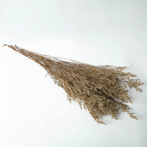 Lumiere Sauvage – Natural Dried Limonium Flowers