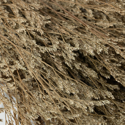 Lumiere Sauvage – Natural Dried Limonium Flowers