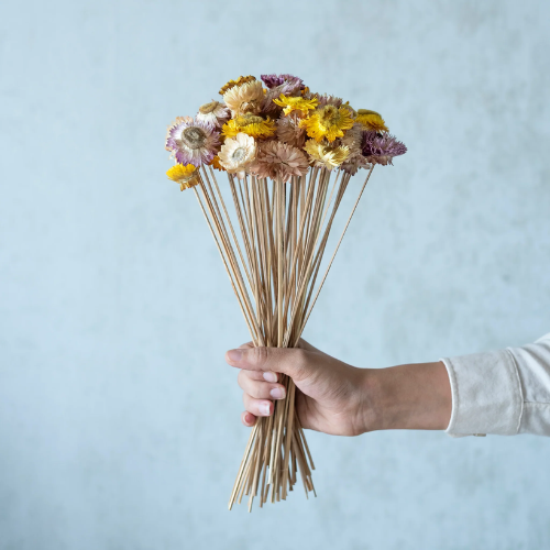 Jardin de Couleurs – Mixed Dried Straw Flowers