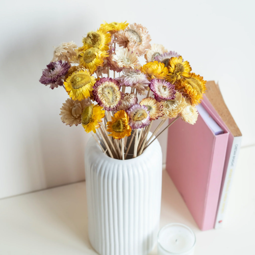 Jardin de Couleurs – Mixed Dried Straw Flowers