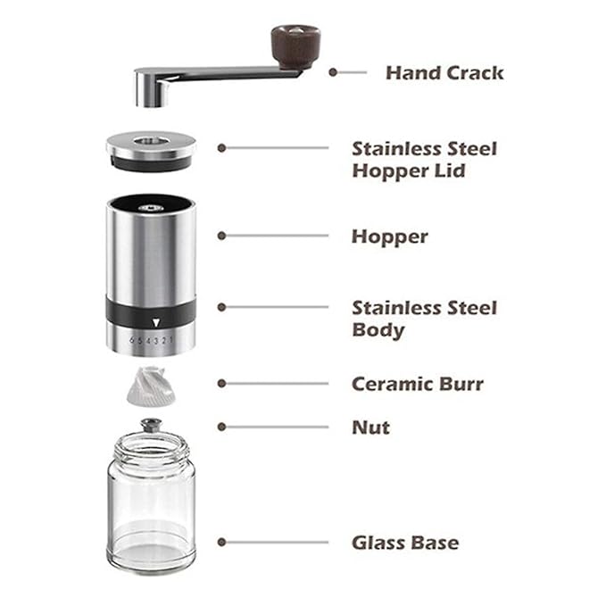 The Bean Co Roasters Manual Coffee Grinder with Adjustable Settings,High Borosilicate Glass and Coloured 304 Stainless Steel Body with Ceramic Burr (Whole Bean Coffee Grinder) (Pink)