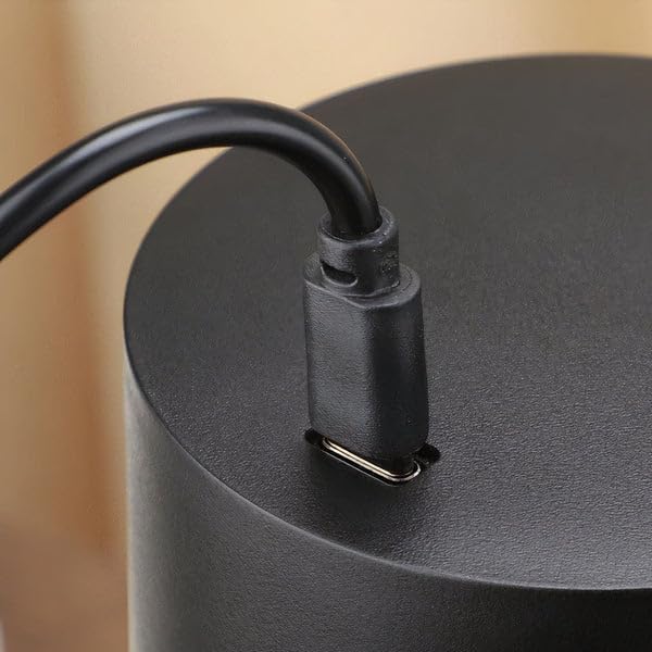 The Bean Co Roasters Electric Coffee Grinder | Powered by USB Plug-in Wire | with Cleaning Brush