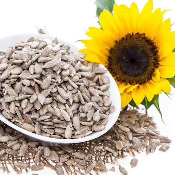 JB&CO Organic Sunflower Seeds kernals - 200 gm