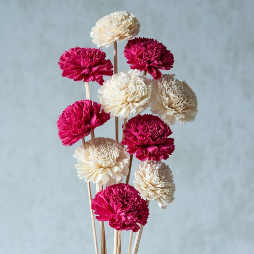 Rosettes de Couleur – Multicolour Cabbage Sola Flowers