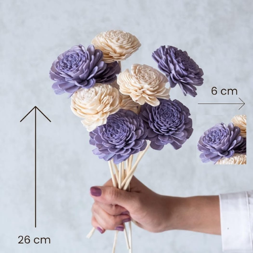 Rosettes de Couleur – Multicolour Cabbage Sola Flowers
