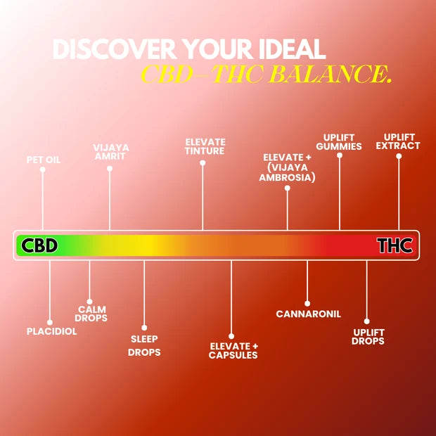 CannazoIndia ELEVATE + Drops (Vijaya Ambrosia) – CBD+THC Formula