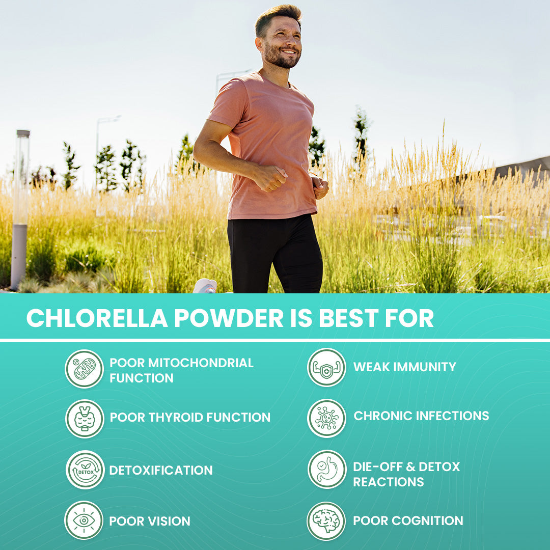 FM Nutrition Chlorella I Natural Binder I Plant protein I Heavy Metal Detox I Rich in Omega 3 I Mitochondrial Health Booster I Vegan I Non-GMO I 100gm powder 