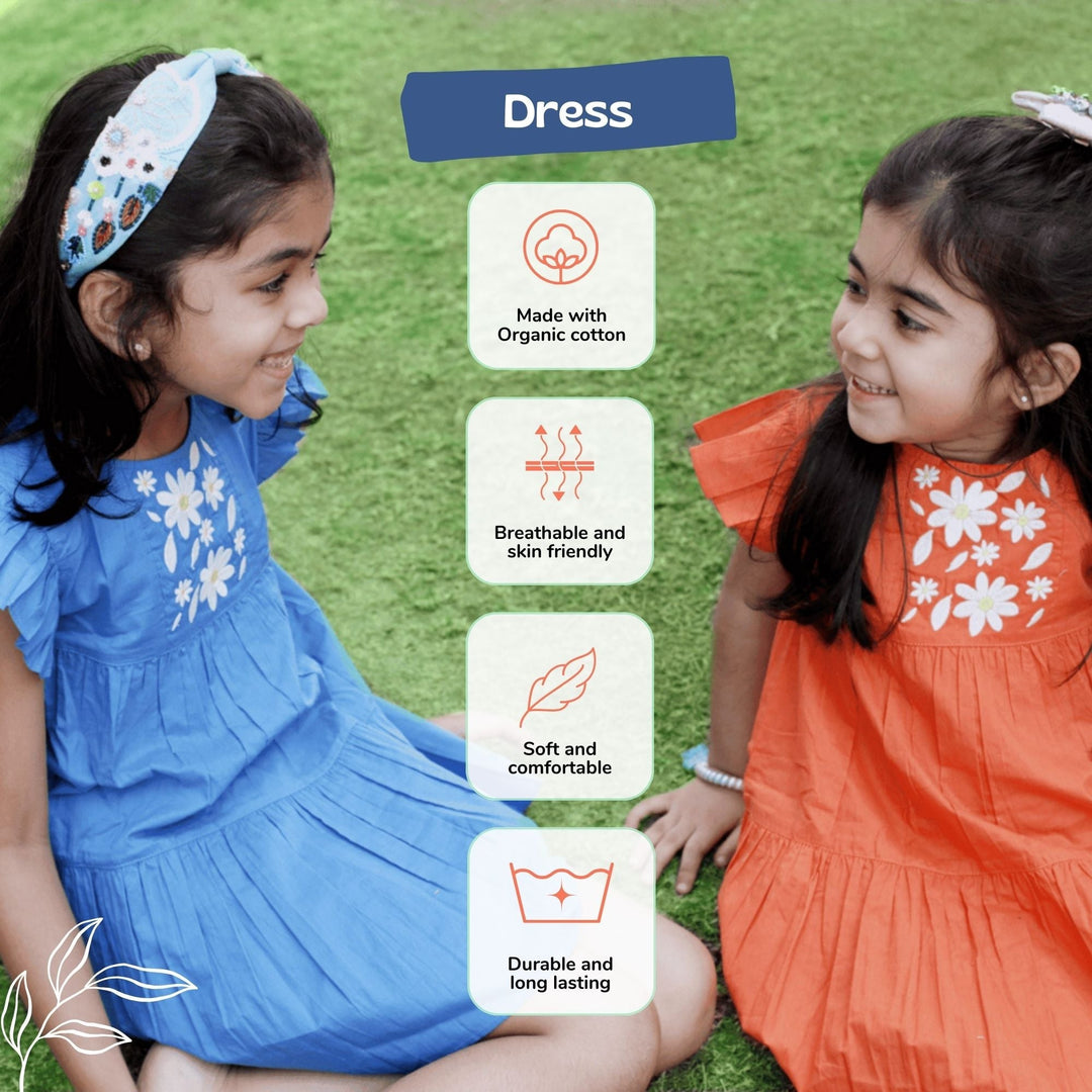 Ola! Otter Flutter Sleeve Embroidered Dress