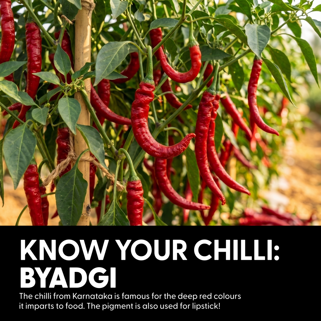Naagin Sauce Indian Hot Sauce- The 65 (230g) | Mildly Spicy | Made with Fresh Vegetables and Premium Byadgi Chillies