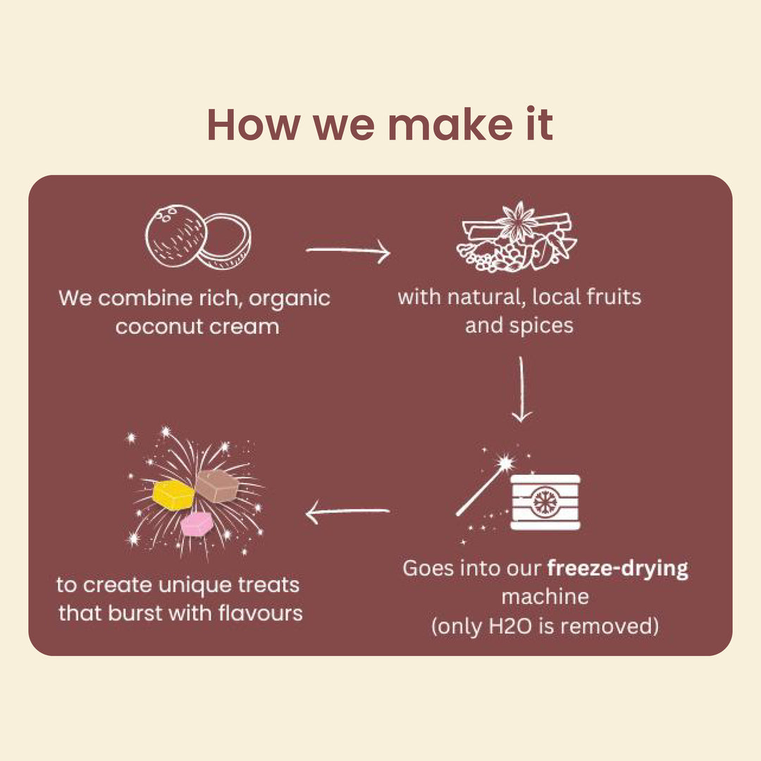 Oh My Vegan Chocolate Coco Melts – Healthy Plant Based Freeze-Dried Treats - 40 Grams